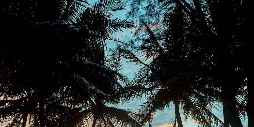 Khám phá Thế Giới Giải Trí Trực Tuyến Đỉnh Cao thuộc https//rikvip95.it.com/ - Trải Nghiệm Tuyệt Vời Chờ Đón quý khách hàng